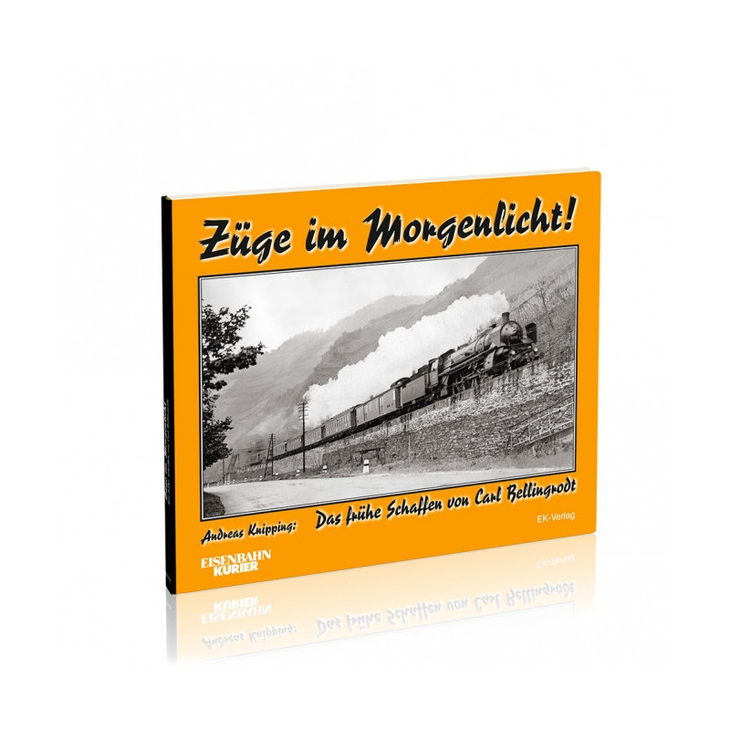 Züge im Morgenlicht